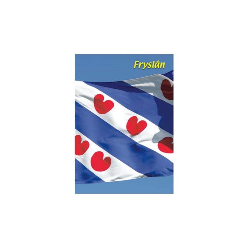 3D notitieboek A5 Fryslan