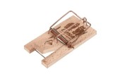 Piège à souris Luna boîte de 20 pcs.
