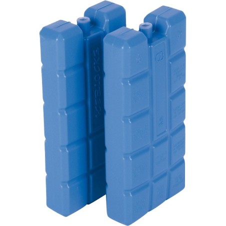 Éléments de refroidissement 200 grammes lot de 2 pièces