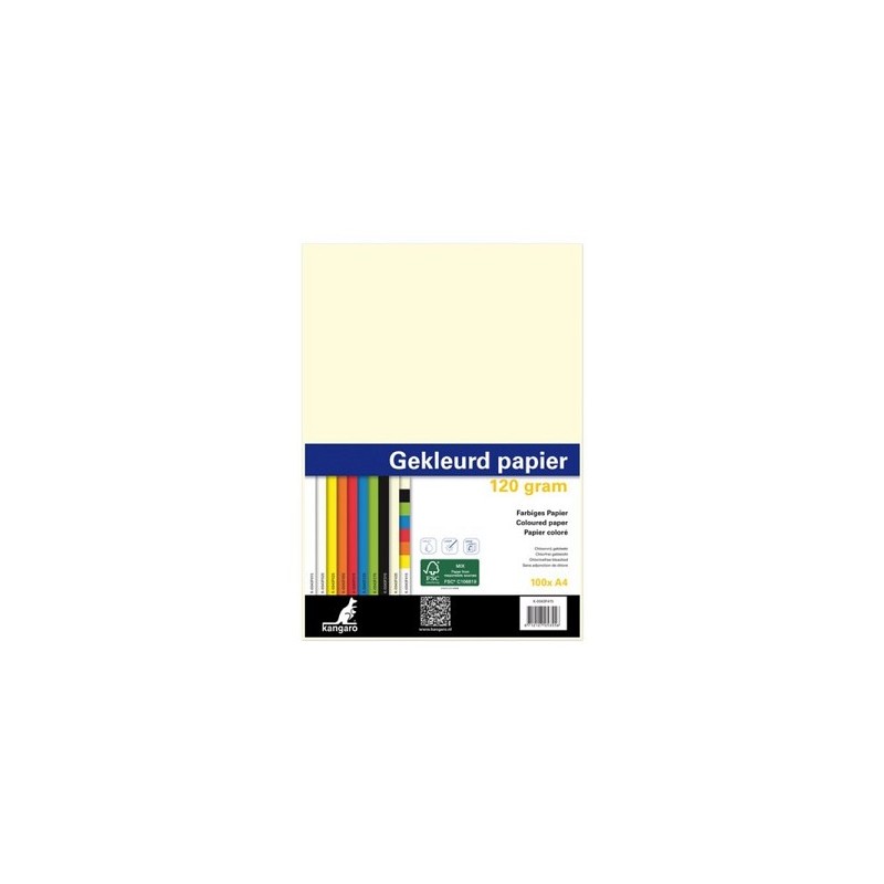 Papier à copier A4 120gr 100 feuilles couleurs assorties en pack