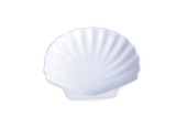 Coquillage porcelaine 12x12cm