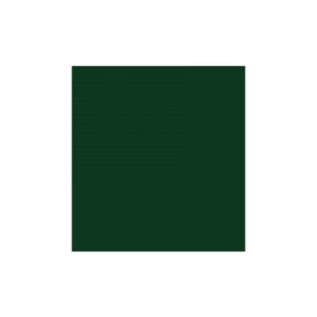 Carton photo 25 feuilles 70x50cm 300gr. vert foncé