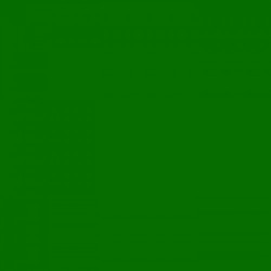 Fotokarton 25vel 70x50cm  300gr. grasgroen