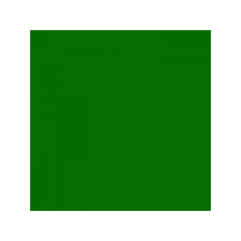 Carton photo 25 feuilles 70x50cm 300gr. herbe verte