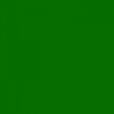 Carton photo 25 feuilles 70x50cm 300gr. herbe verte