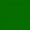 Fotokarton 25vel 70x50cm  300gr. grasgroen