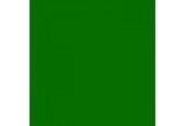 Fotokarton 25vel 70x50cm  300gr. grasgroen