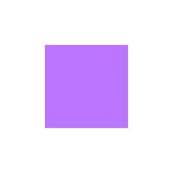 Carton photo 25 feuilles 70x50cm 300gr. violet