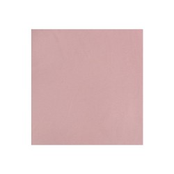 Carton photo 25 feuilles 70x50cm 300gr. vieux rose