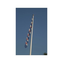 Fanion Frise 15x200 cm