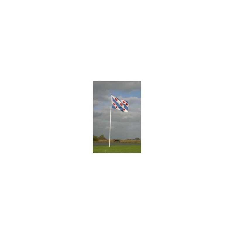 Friese vlag 20x30 cm