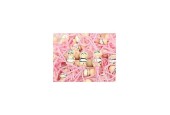 Geluks baby meisje 100 st