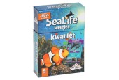 Faits sur IdentityGames quatuor Sealife