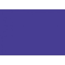 Carton photo 25 feuilles 70x50cm 300gr. violet