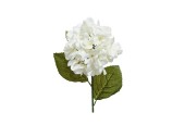 Hortensia en soie sur tige blanc/blanc