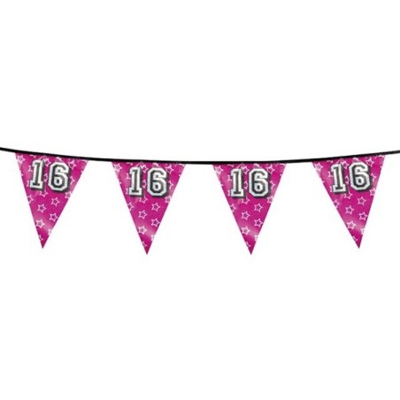 Holografische vlaggenlijn Sweet 16 6 mtr