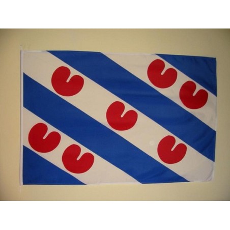 Friese vlag 30 x 45 cm