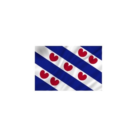 Friese vlag 50x75 cm spun-poly