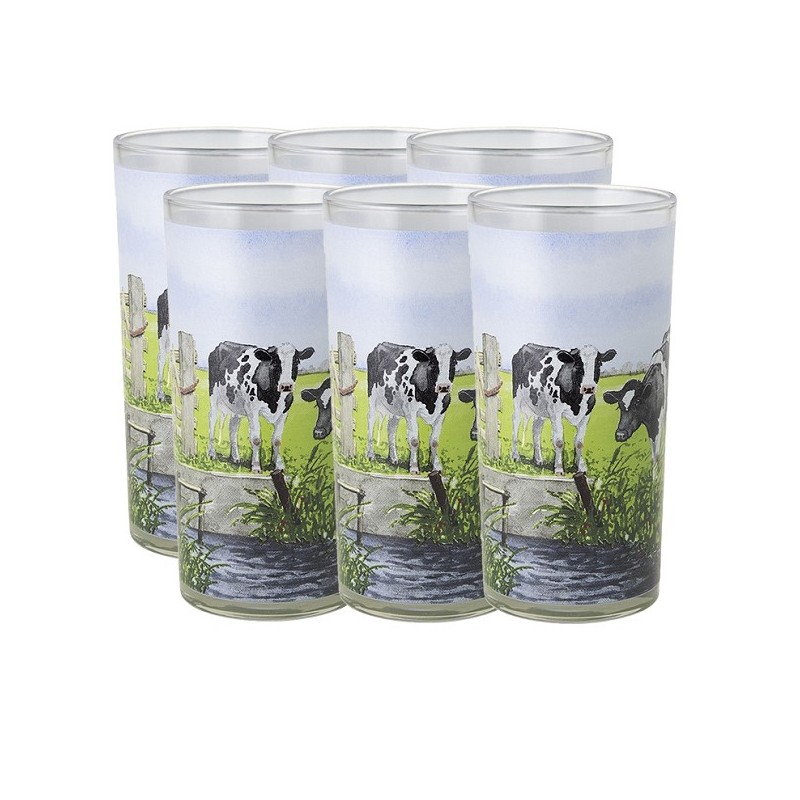 Wiebe van der Zee longdrinkglas Nieuwe Buren doos a 6 stuks Ø6.6cmx13.5cm 300ml glas