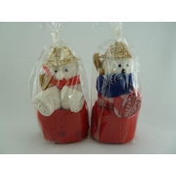 Keukendoek/gastendoek/washandje Tuinman rood assortie