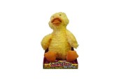 Canard avec son