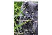 Calendrier anniversaire photo chat A4 30x21cm