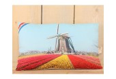 Kussen fotoprint Hollands decor 30x50cm