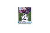 Ballons de baby-foot noir/blanc 5pcs