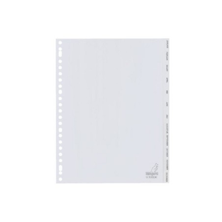 Onglets Kangaro 23 anneaux janvier à décembre 12 pièces en plastique