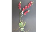 kunstbloem orchidee phalaenopsis rood