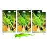 Reptile réaliste sur carte