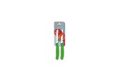 Victorinox Couteau de table/tomate dentelé vert 2 pièces sur carte