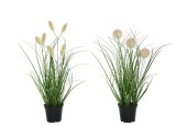 Decoris Gras pvc L15-W15-H30cm