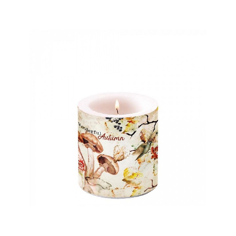 Ambiente Kaars klein Wonderful Autumn- Ø 7,5 - h 9 cm- Paraffine- ± 35 uren branduren