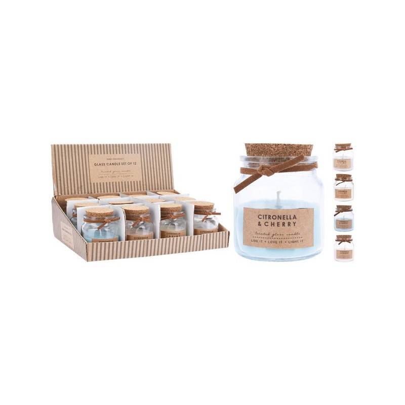 Home & Styling Kaars in glazen pot 4 assorti