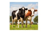 Ambiente Servetten Koeien 33cm 20st