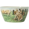 Wiebe's Farm Kom varken Ø13cm doos a 6 stuks porselein