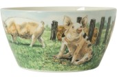 Wiebe's Farm Kom varken Ø13cm doos a 6 stuks porselein