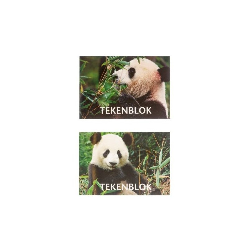 Tekenboek A5 Panda 14,8x 21 cm 10 st