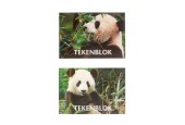 Tekenboek A5 Panda 14,8x 21 cm 10 st