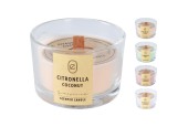 Citronella kaars in glas 5cm