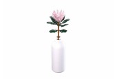 Sluban Reuzeprotea 219-delig