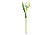 Tulp hout wit/groen35cm