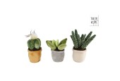 Take Me Home plant pluche S 12-17cm