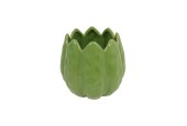 Bloempot tulp S groen 12x12x13cm