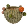 Bloempot cactus 16,5x16,5x10,5cm