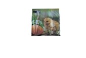 Duni Servetten Chicken with egg 33x33cm