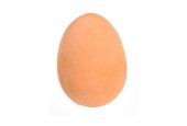 Stuiter Ei