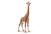 schleich WILD LIFE Giraf Wijfje 14750