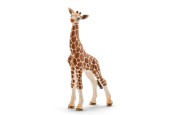 schleich WILD LIFE Babygiraf 14751